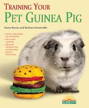 Training Your Guinea Pig