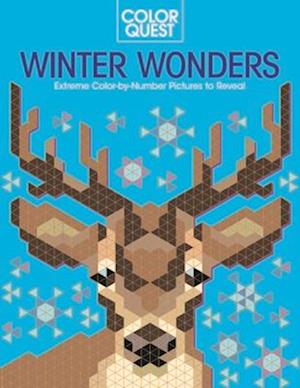 Color Quest: Winter Wonders