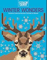 Color Quest: Winter Wonders