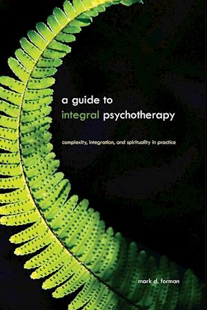 Guide to Integral Psychotherapy