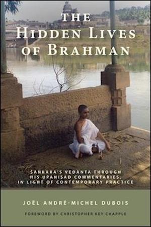 The Hidden Lives of Brahman