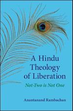 A Hindu Theology of Liberation