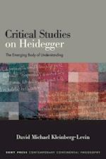 Critical Studies on Heidegger