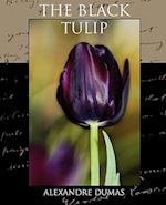 The Black Tulip