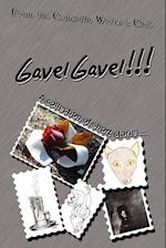 GavelGavel!!!