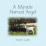 A Miracle Named Angel