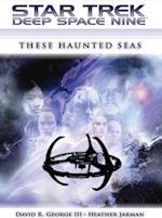 Star Trek: Deep Space Nine: These Haunted Seas