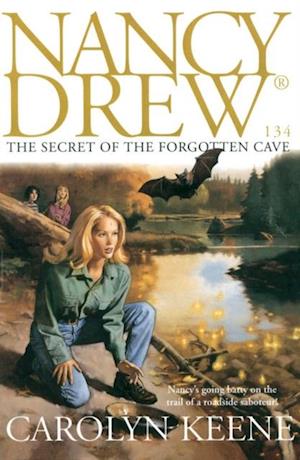 Secret of the Forgotten Cave