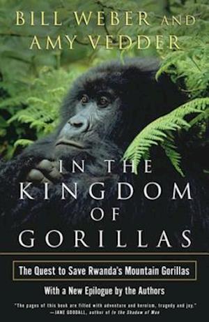 In the Kingdom of Gorillas