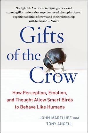 Gifts of the Crow