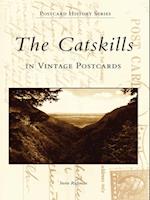 Catskills in Vintage Postcards