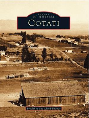 Cotati