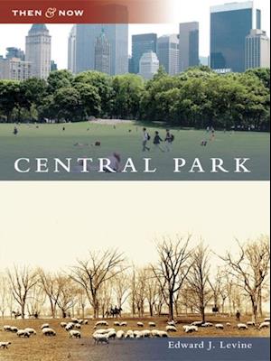 Central Park