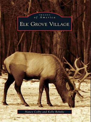 Elk Grove Village