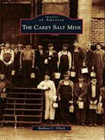 Carey Salt Mine