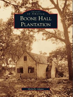 Boone Hall Plantation