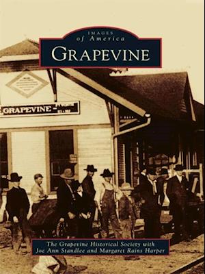 Grapevine