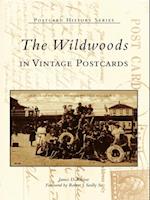 Wildwoods in Vintage Postcards