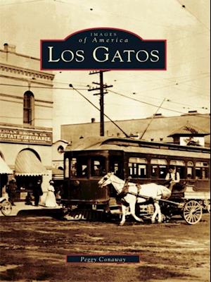 Los Gatos