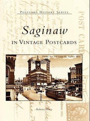 Saginaw in Vintage Postcards