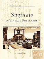 Saginaw in Vintage Postcards