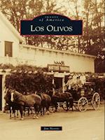 Los Olivos