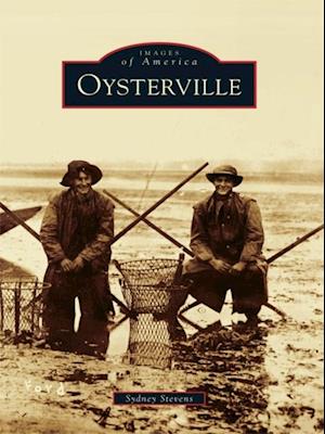 Oysterville