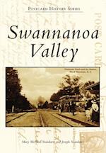 Swannanoa Valley