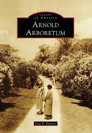 Arnold Arboretum