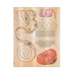 Lily & Tomato (Mira Botanica) Ultra Lined Journal