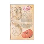 Lily & Tomato (Mira Botanica) Mini Lined Journal