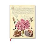 Pink Carnation (Mira Botanica) Ultra Lined Softcover Flexi Journal (Elastic Band Closure)