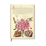 Pink Carnation (Mira Botanica) Midi Lined Softcover Flexi Journal (Elastic Band Closure)