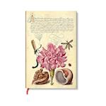 Pink Carnation (Mira Botanica) Mini Lined Softcover Flexi Journal (Elastic Band Closure)