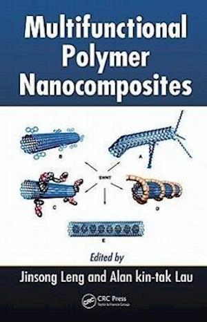 Multifunctional Polymer Nanocomposites