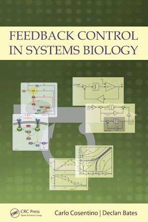 Feedback Control in Systems Biology