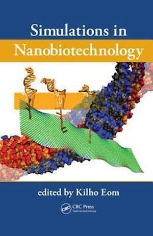 Simulations in Nanobiotechnology