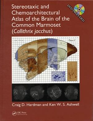 Stereotaxic and Chemoarchitectural Atlas of the Brain of the Common Marmoset (Callithrix jacchus)