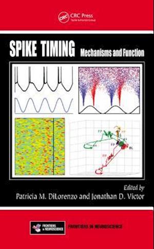 Spike Timing
