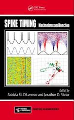 Spike Timing
