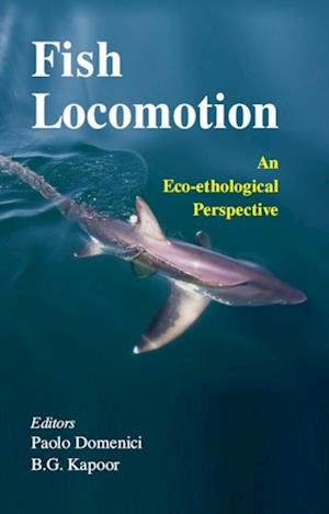 Fish Locomotion