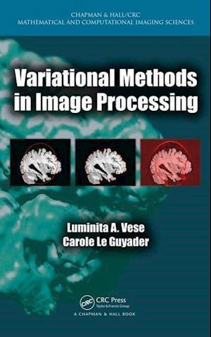 Variational Methods in Image Processing