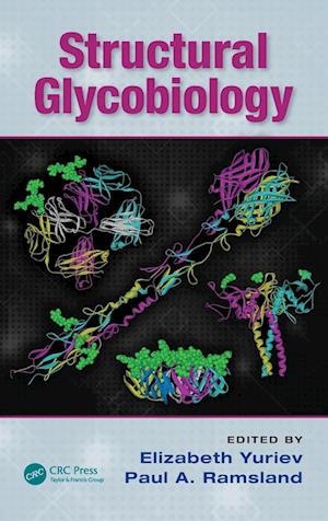 Structural Glycobiology