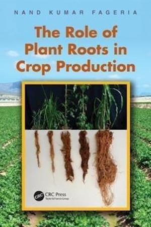 The Role of Plant Roots in Crop Production