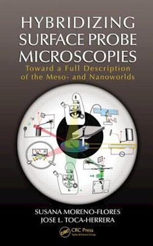 Hybridizing Surface Probe Microscopies