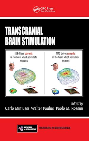 Transcranial Brain Stimulation