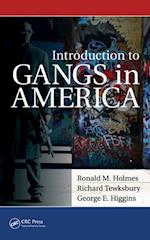 Introduction to Gangs in America