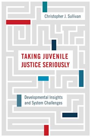 Taking Juvenile Justice Seriously