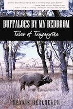 Buffaloes by My Bedroom