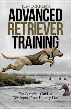 Tom Dokken's Advanced Retriever Training